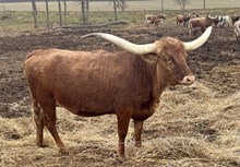 CATCHIT X MIDNIGHT SPECIAL 