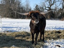 MR CASINO WINNING BABE