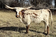 Having A Tuff Time RBR