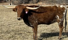 In A Tuff Market RBR