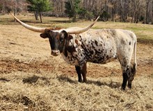 Dont Stop Cinderella