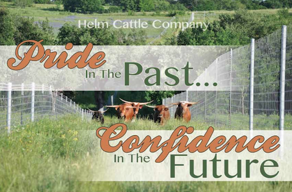 Helm Cattle Company pride in Registered Texas Longhorns